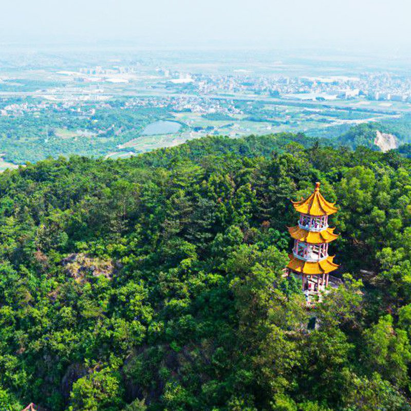 系统开发—谢岗